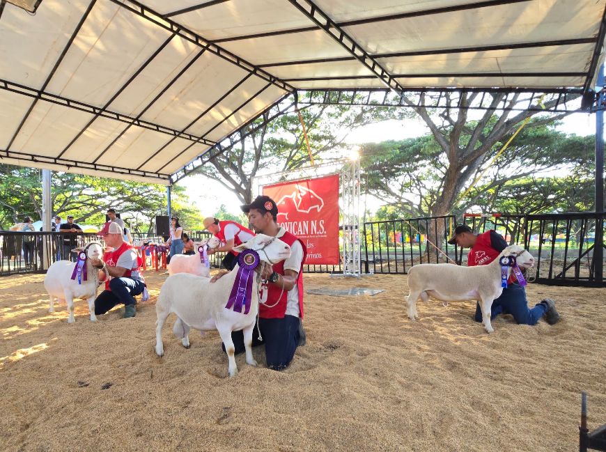 Norte de Santander se prepara para la 2° edición de la “FERIA AGRO 2025”