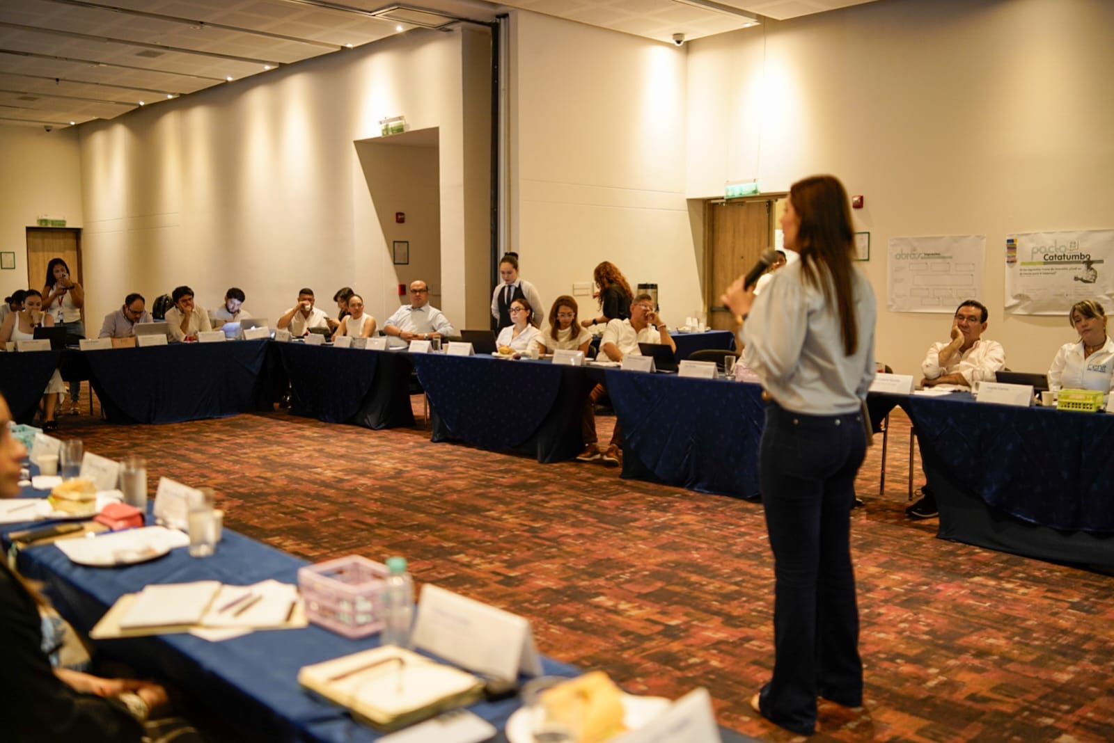 Avanza inversión en el Catatumbo y se abren puertas a nuevas alianzas con empresarios