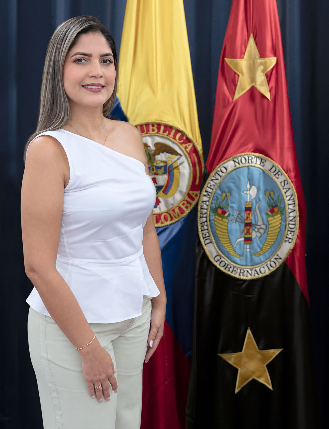 Imagen de perfil del secretario de la Secretaría de Desarrollo Social, Alonso Toscano Niño