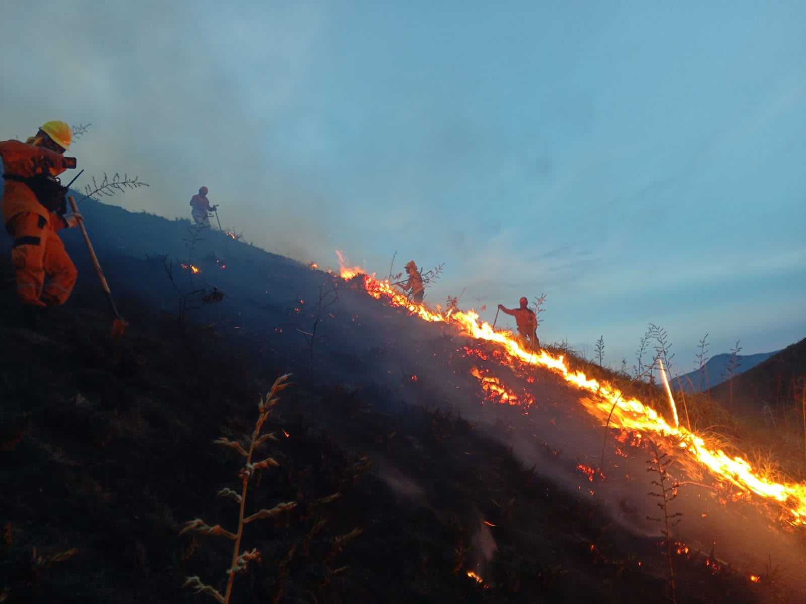 Gobernación coordina respuesta al incendio forestal en Ábrego