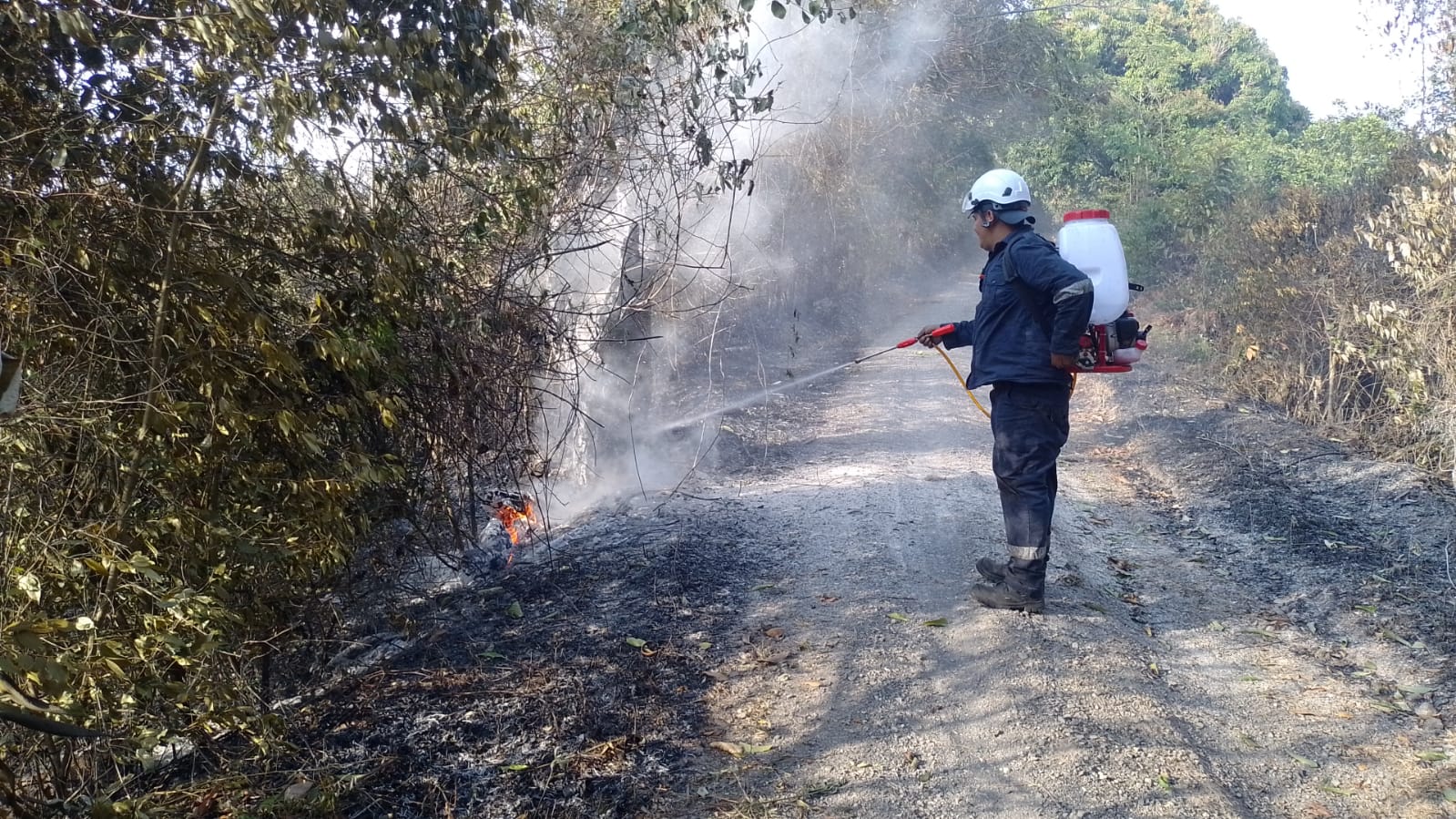 189 hectáreas afectadas por incendios forestales en Norte de Santander