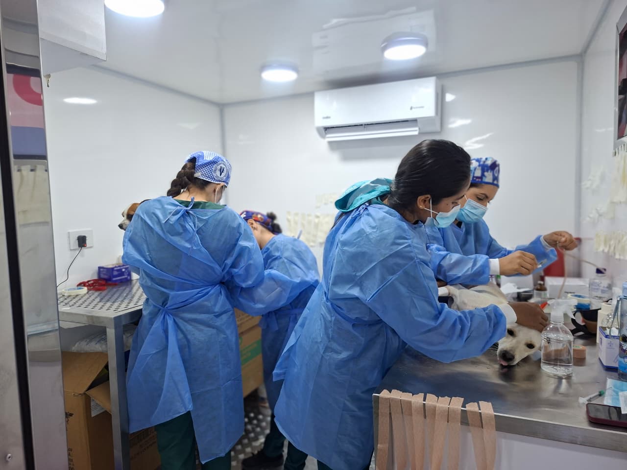 Ocaña, primer destino de una jornada que llega con bienestar para los animales